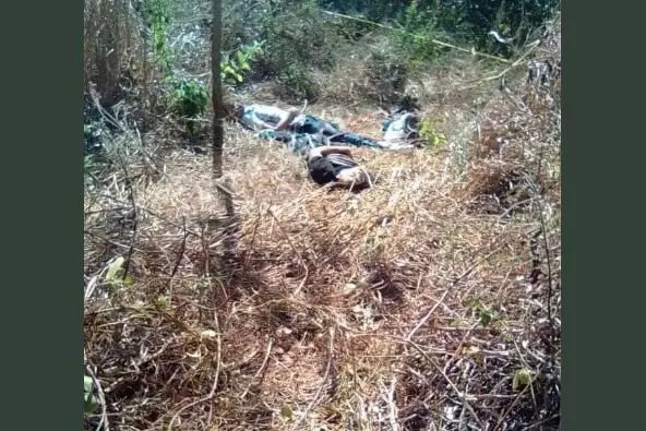 Pandilleros asesinados en Cedros