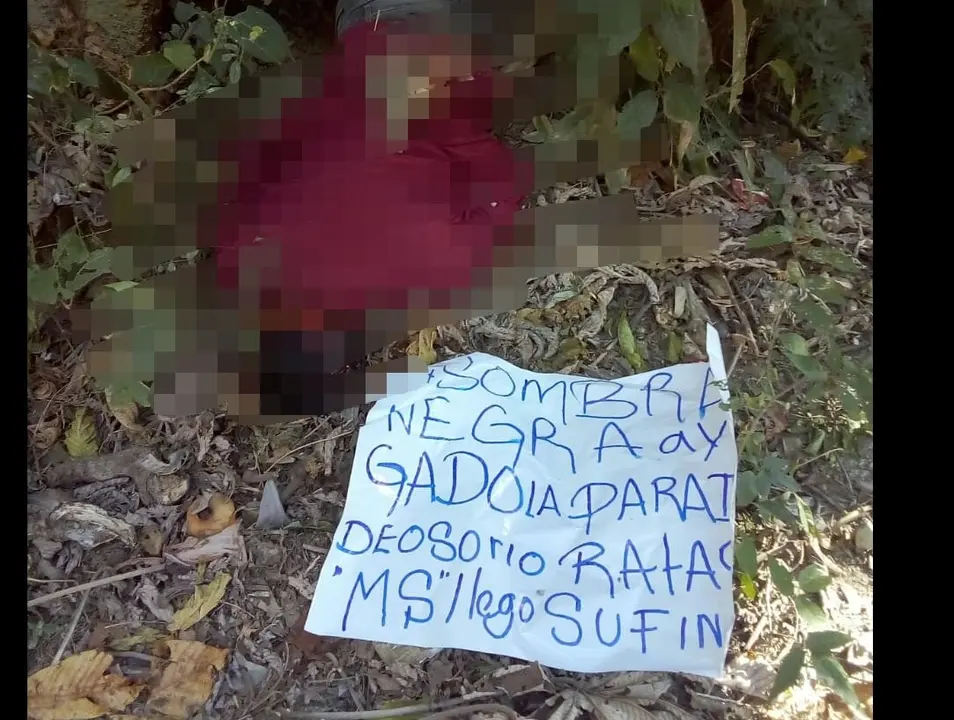 sombra negra en el paraiso e Para&iacute;so de Osorio.