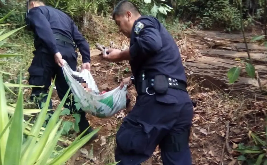 Ni&ntilde;o de Ataco