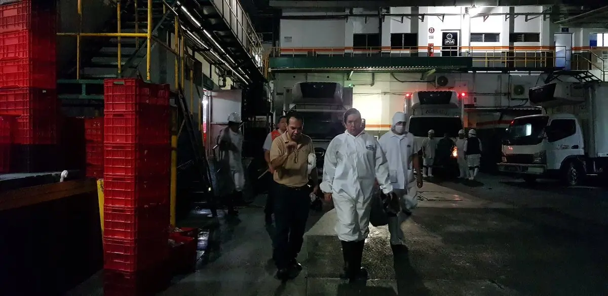 Avicola Salvadore&ntilde;a