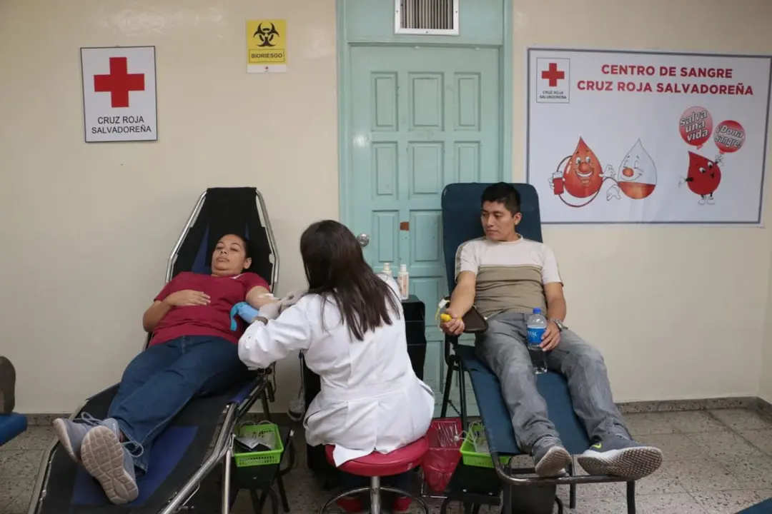 Donaci&oacute;n de sangre