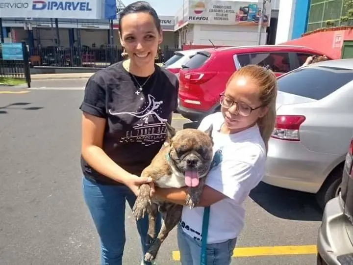 Orco devuelto a sus due&ntilde;os