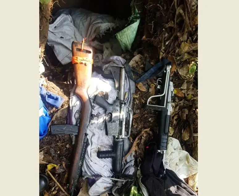 Armas decomisadas en SM