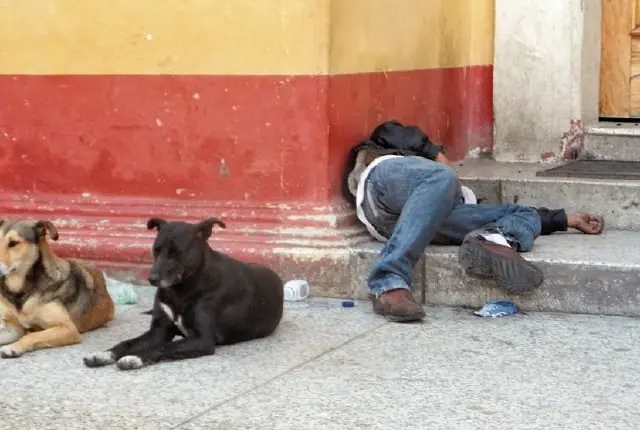 Borracho Prensa Libre de Honduras