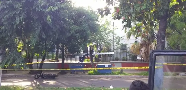 Estrellado contra un &aacute;rbol