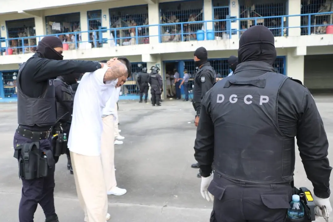 Pandilleros removidos