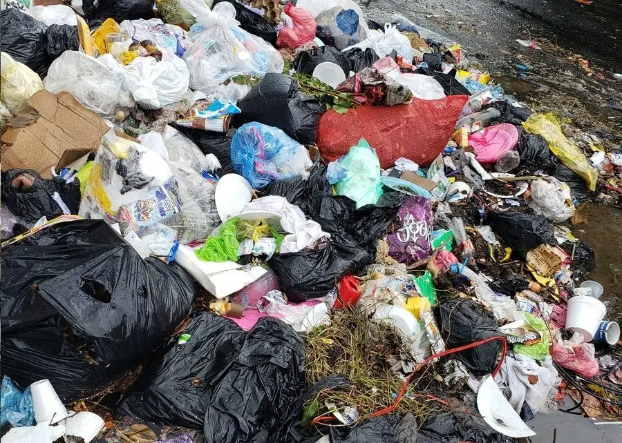 Rearto Las Ca&ntilde;as