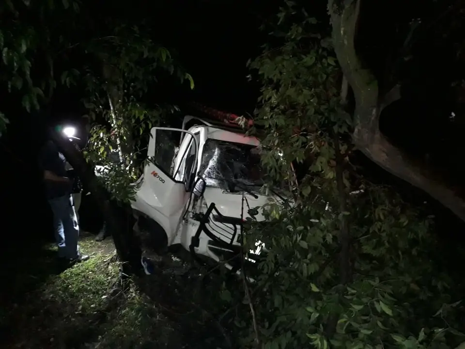 Ebrio choca contra &aacute;rbol