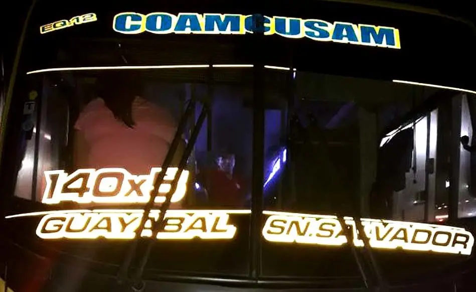 Microb&uacute;s de la 140X5