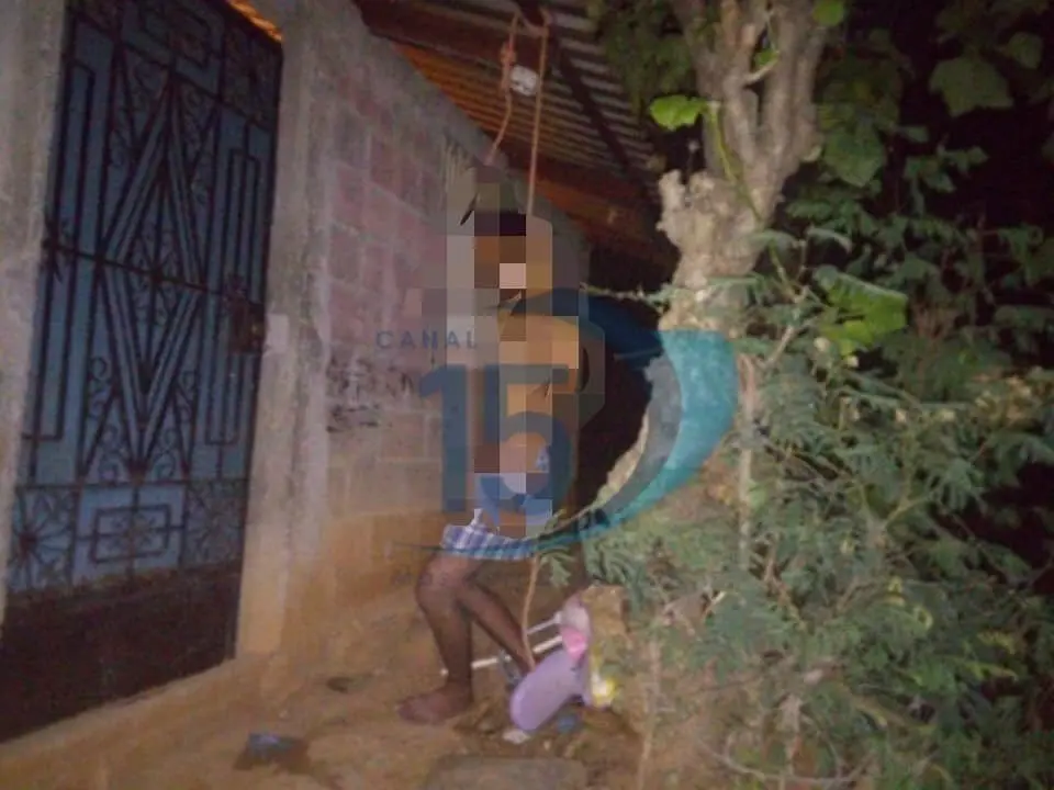 fb9354a5-7b6e-4cb2-bdea-936881df71c4