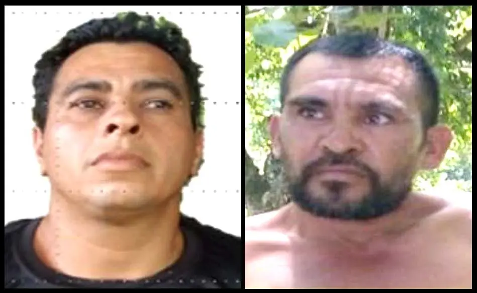 Acusados de cometer delitos en bus de la ruta 202