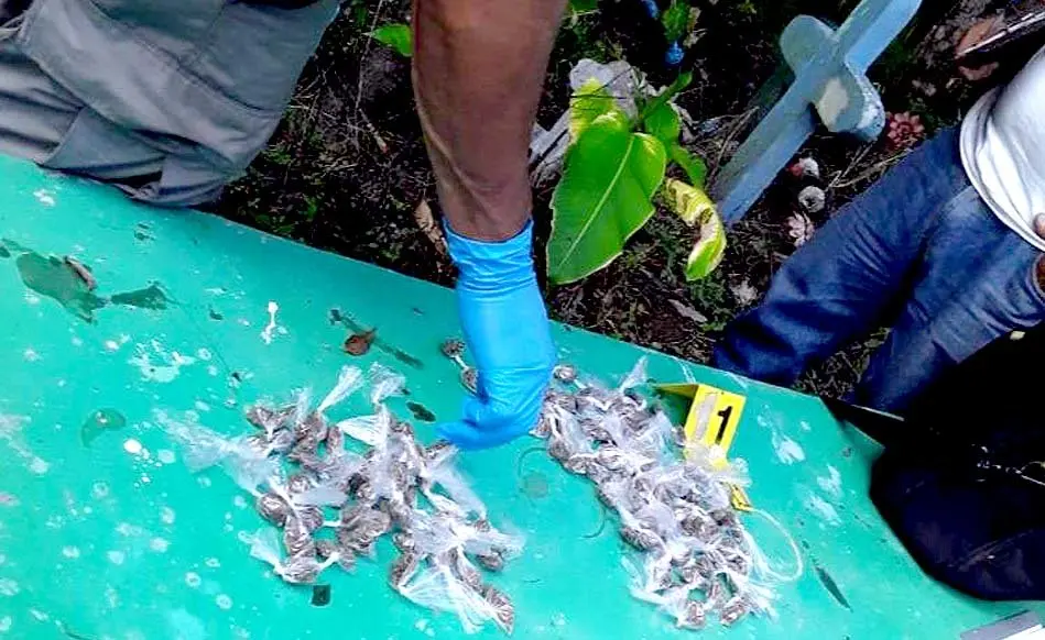 Decomiso de marihuana en cementerio de Cuscatl&aacute;n OK