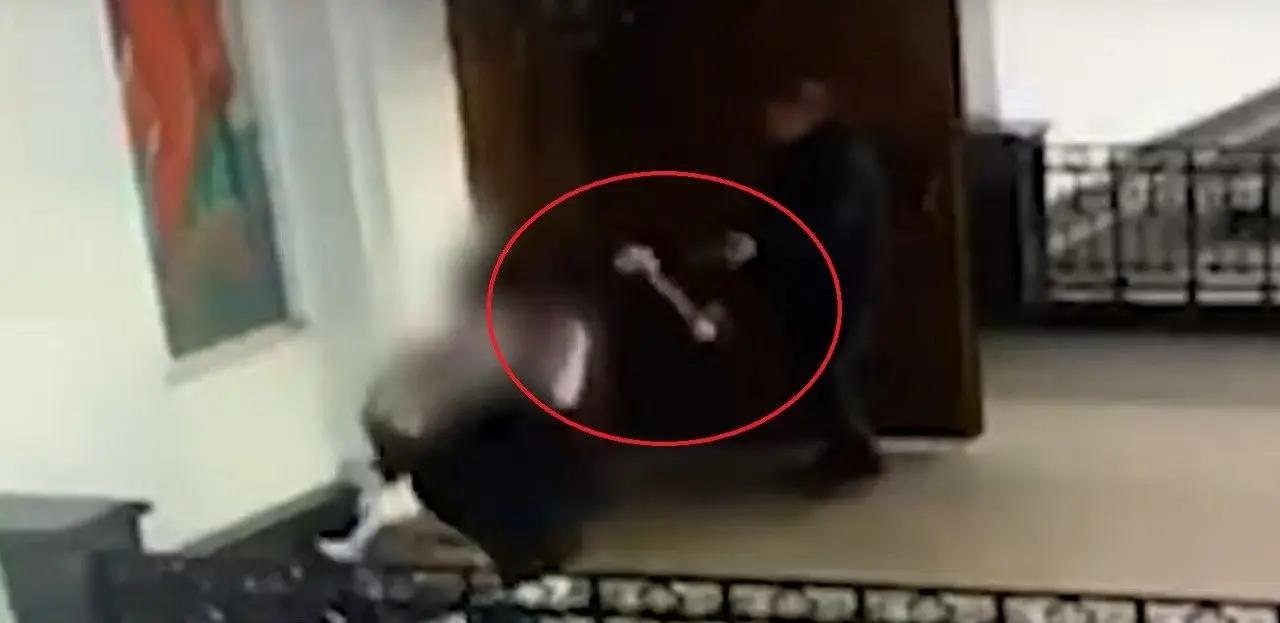 Mujer ataca iglesia con un hacha