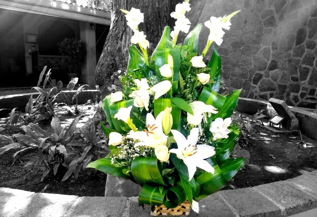 Arte para nota de Roc&iacute;o