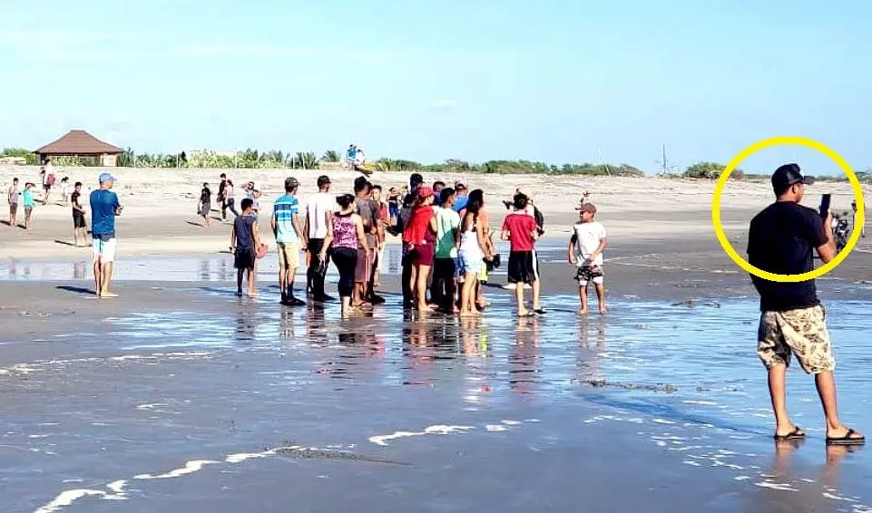 Cocodrilo en Isla Tasajera 2