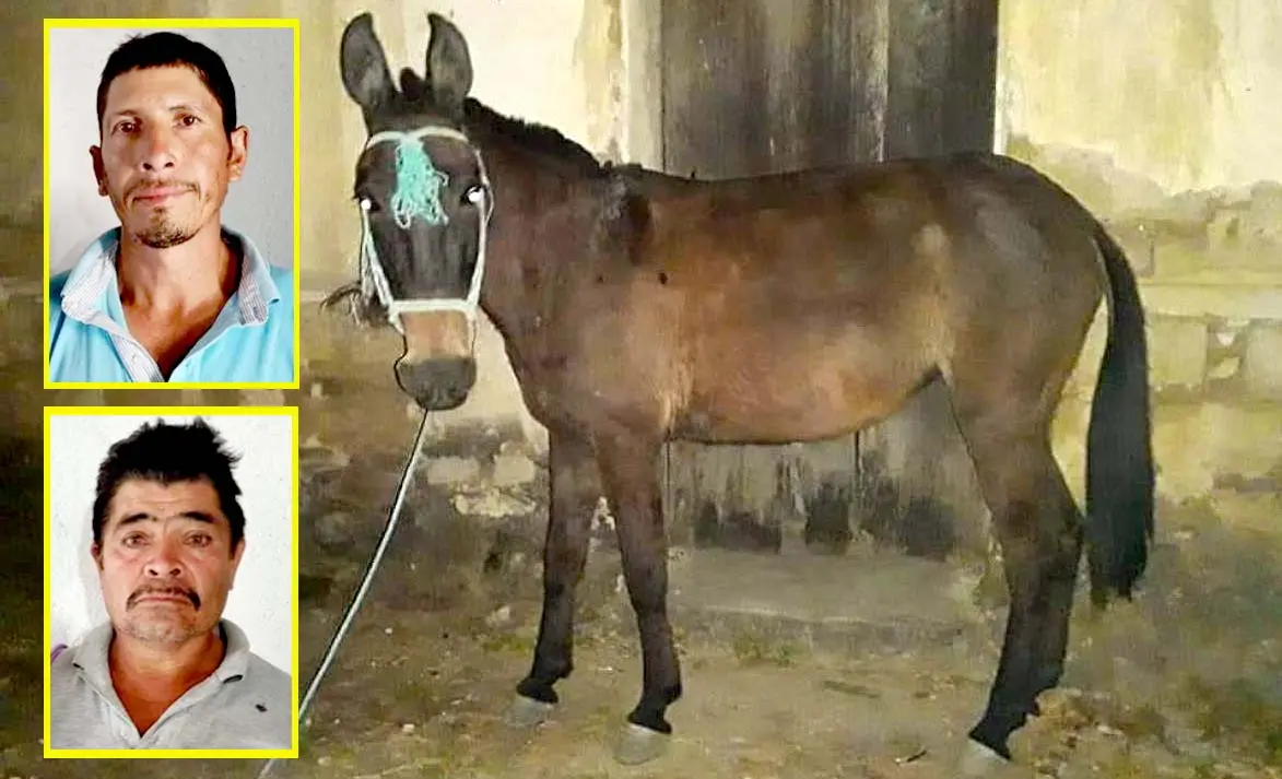 Dos hombres y su burro detenidos en Moraz&aacute;n 6