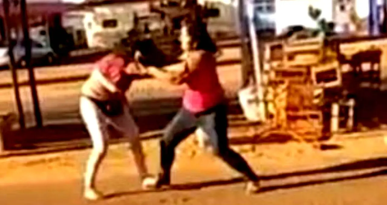 Pleito entre vecinas