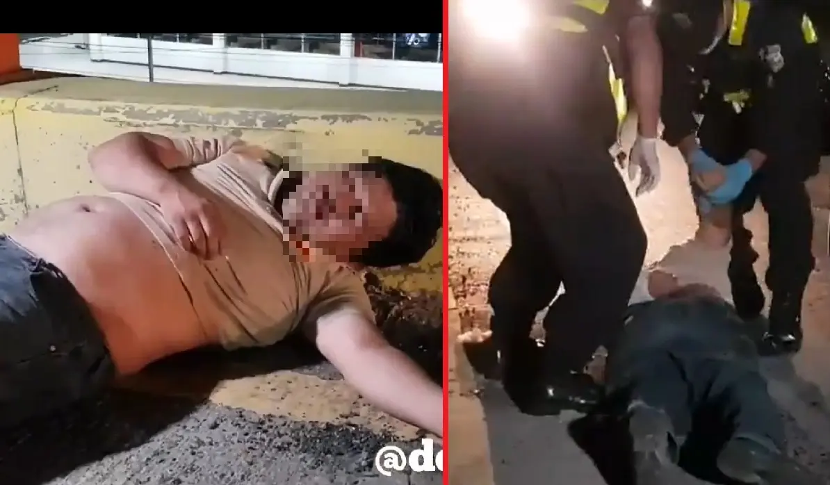 Bolo en Los Pr&oacute;ceres