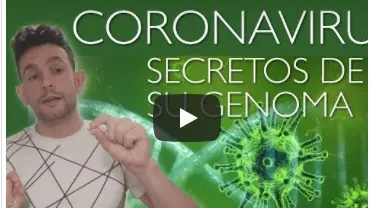 Secretos del Coronavirus