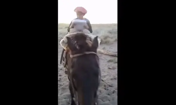 Ni&ntilde;o en caballo