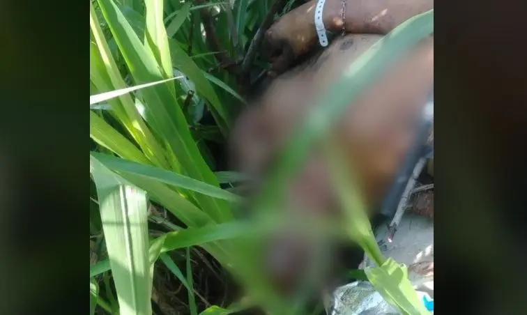 Quebrada en Constituci&oacute;n