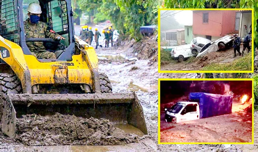 Campos Verde en Col&oacute;n 4