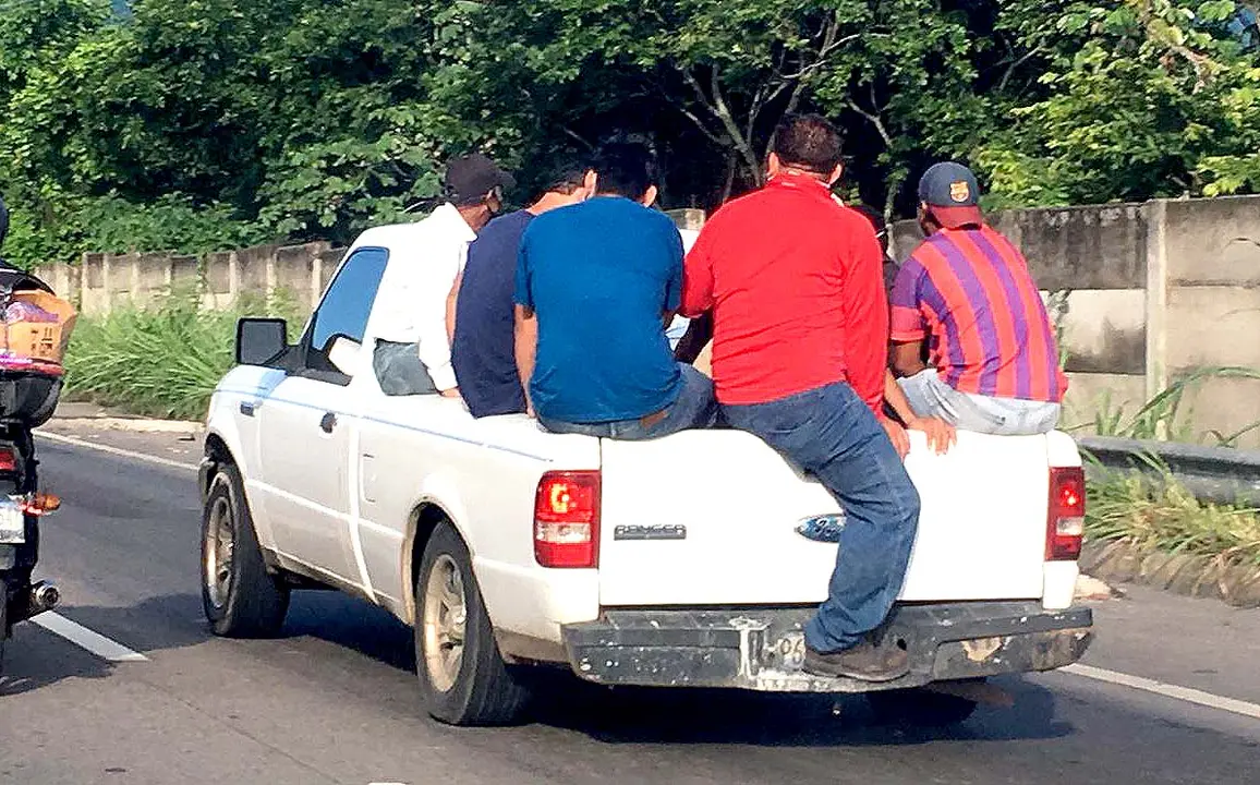 Tr&aacute;fico vehicular en carretera de oro