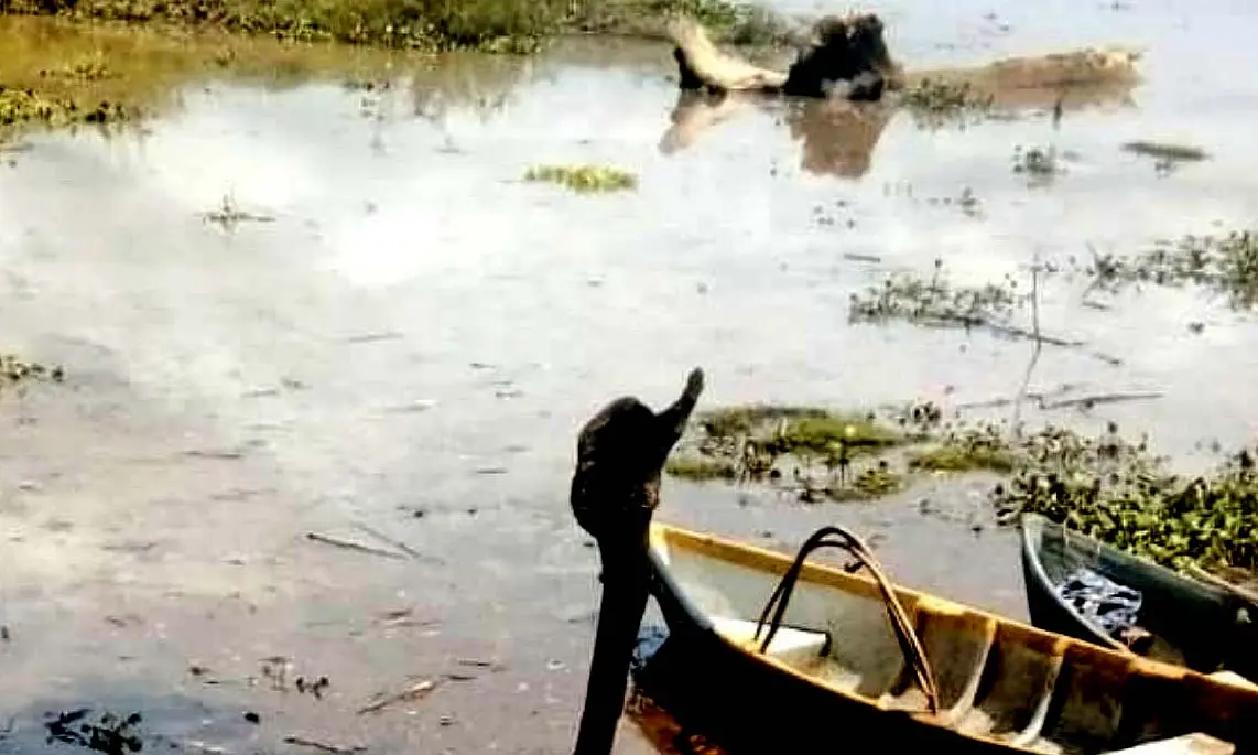 Localizan cad&aacute;ver de conductor arrastrado en Chalatenango Foto Bomberos