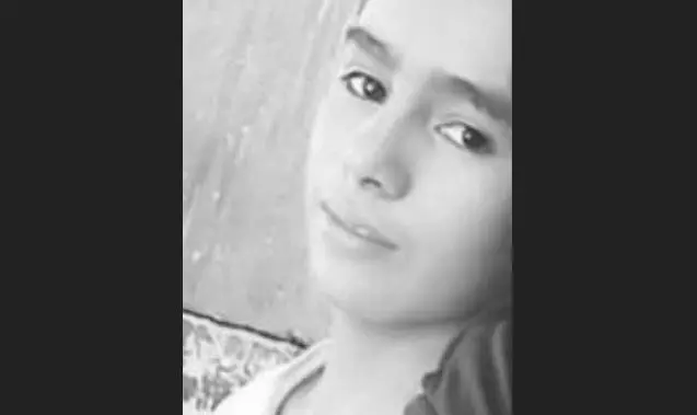 Desaparecido en el volc&aacute;n