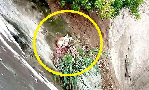 Rescatan una perra en Soyapango Foto cortes&iacute;a Bomberos 2