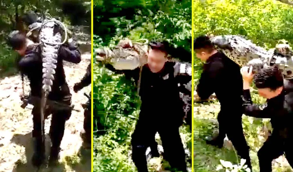 Im&aacute;genes tomadas de video compartido por Movimientos de los Tranajadores de la Polic&iacute;a