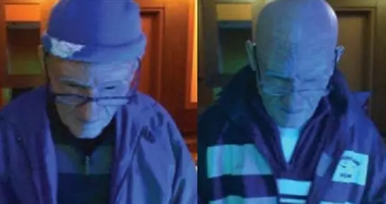 Ladr&oacute;n que se vest&iacute;a de anciano