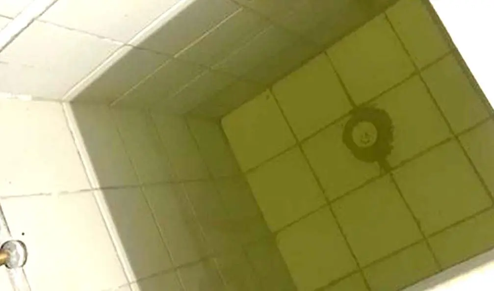 Denuncian que agua cae sucia y con mal olor Foto tomada de la alcald&iacute;a de Santa Tecla 2