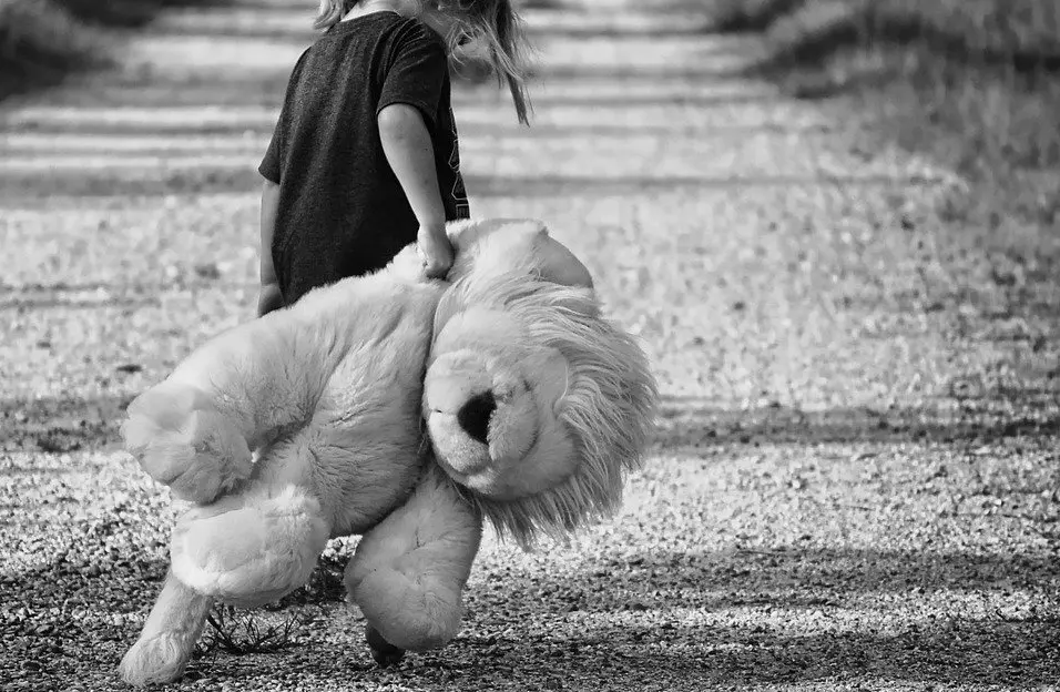 Ni&ntilde;a (Pixabay)