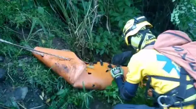 Cuerpo de se&ntilde;or