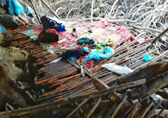 Dos campamentos en la zona de las Islas