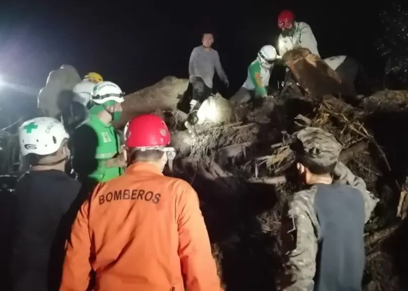 Remoci&oacute;n de escombros