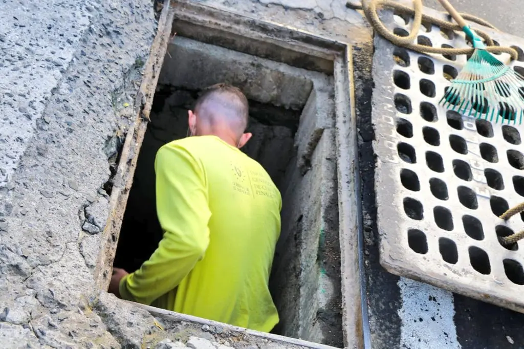 Reos en fase de confianza