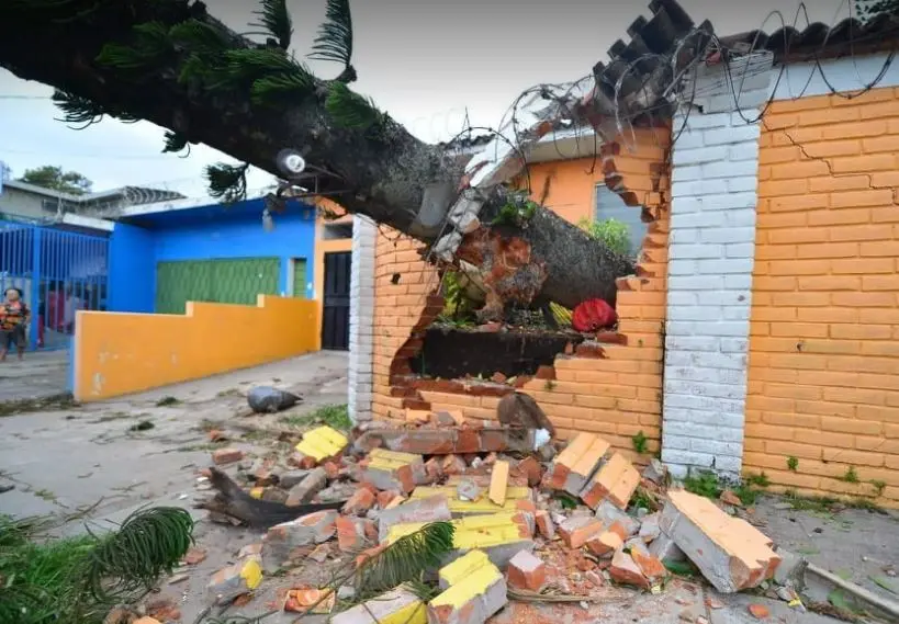 &Aacute;rbol en la Escal&oacute;n