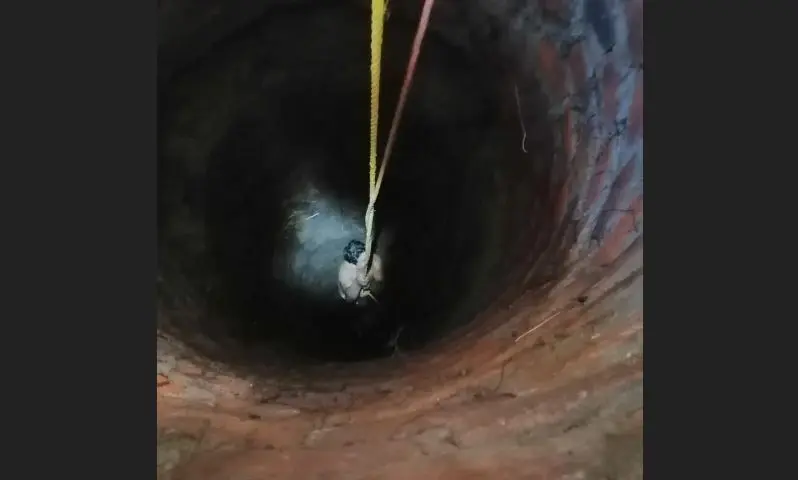 Rescatan a ni&ntilde;o de 3 a&ntilde;os