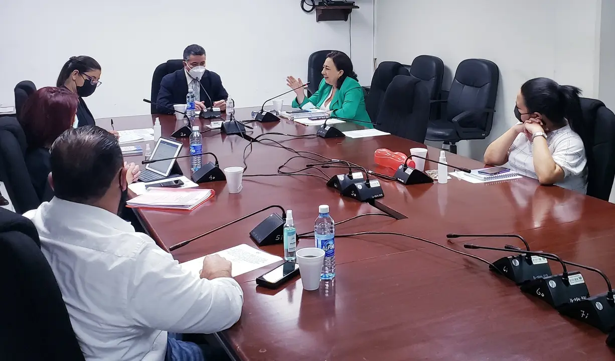 Diputados de comisi&oacute;n especial