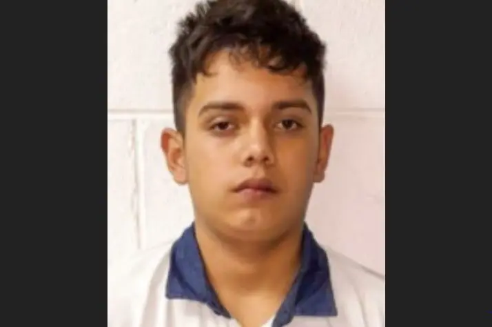 Pandillero ladr&oacute;n