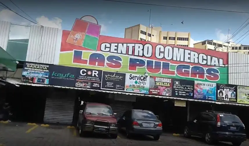 Las Pulgas de Los H&eacute;roes