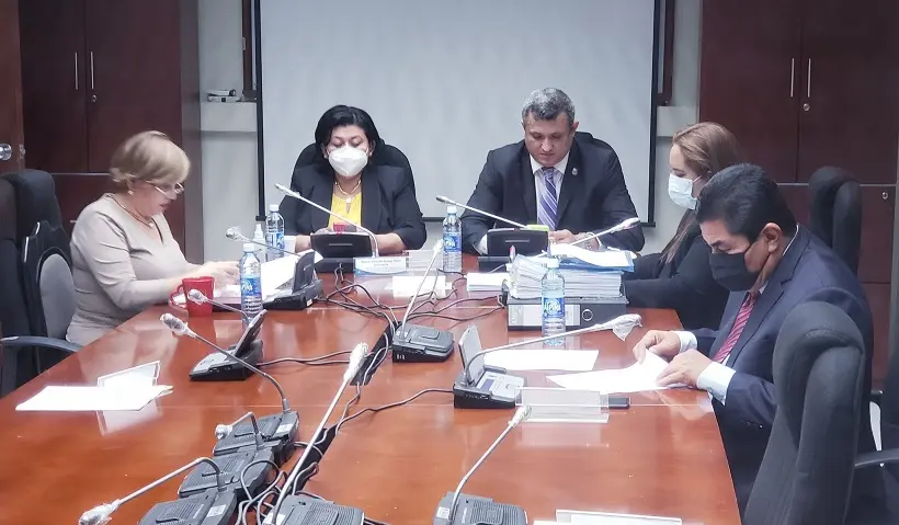 Comisi&oacute;n Especial diputados