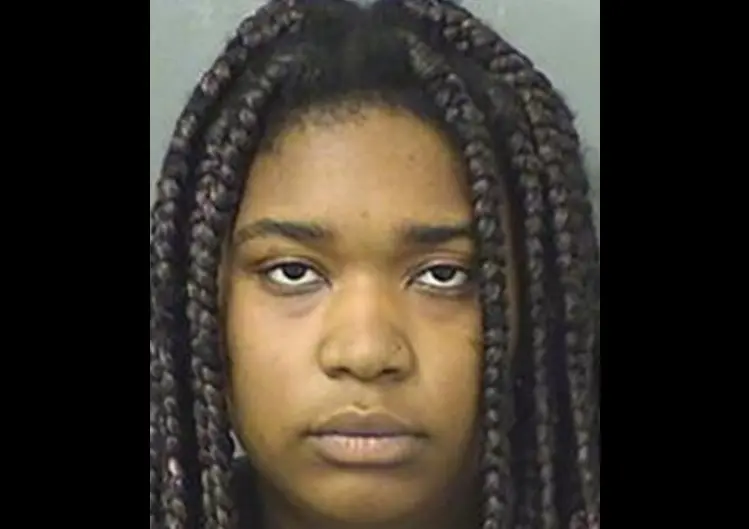 A woman has been arrested on multiple charges in connection with a hit-and-run accident that killed federal Judge Sandra J. Feuerstein and injured a six-year-old boy in Florida, according to Palm Beach County Sheriff's Office jail records.A Delray police officer said the driver, later identified as Nastasia Andranie Snape, was behind the wheel of the car and appeared to be unconscious.