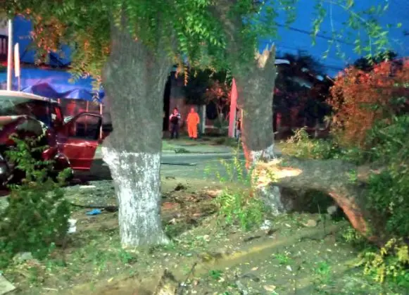 Choca y derriba &aacute;rbol