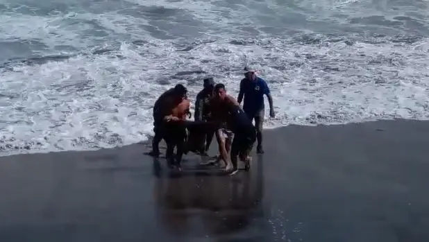 Hombre muere despu&eacute;s de rescatar a su hija y nieta