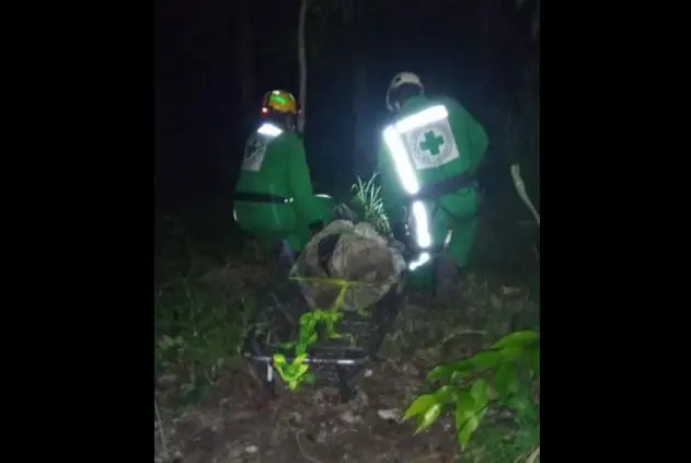 Cruz Verde San Mart&iacute;n