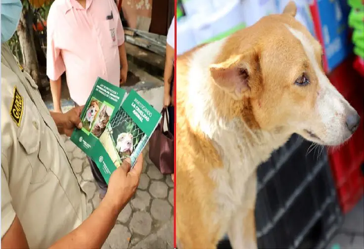 M&aacute;s de $1,400 por maltratar a perro