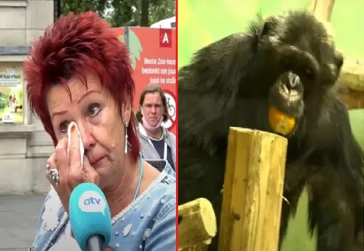 Mujer y Chimpanc&eacute;